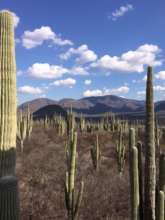 FMCN - Tehuacan Cuicatlan Biosphere Reserve