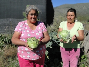 Two women in their community farm, Zapaliname