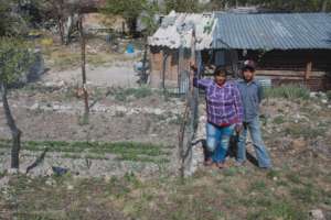 Family garden in Nuevo Leon.