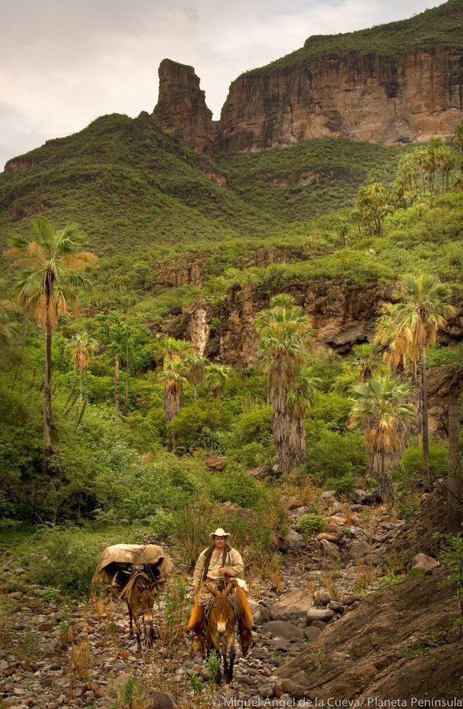 Sustainable Rural Life