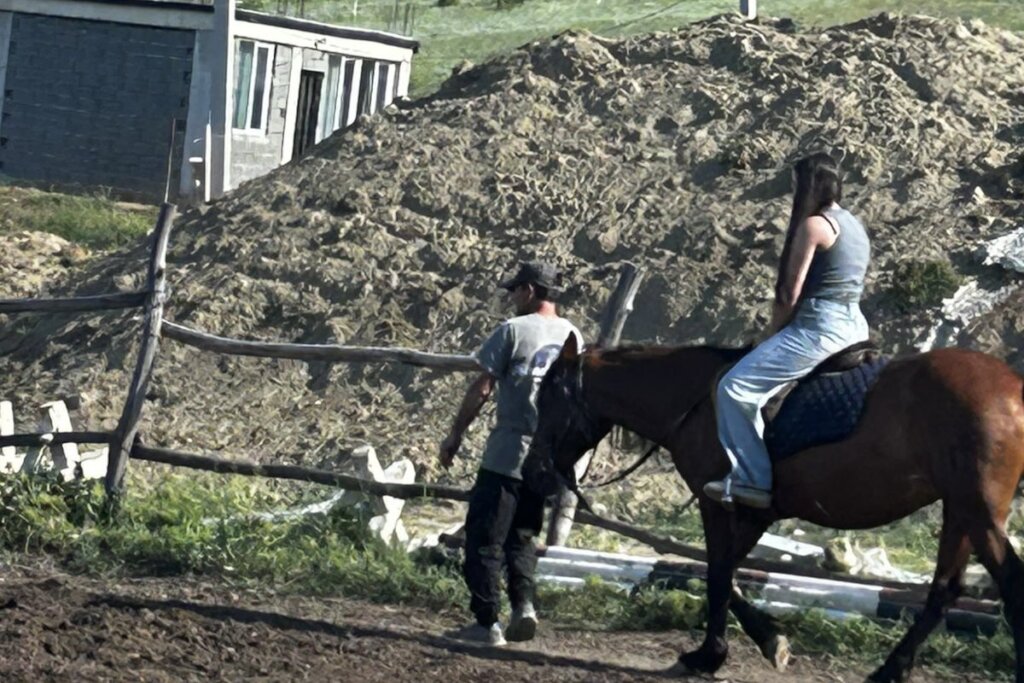 Horseriding during the holidays