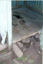 School Toilet