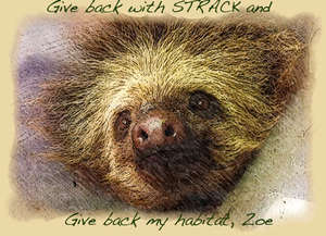 Give Back with Strack