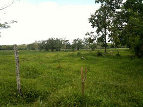 Project area