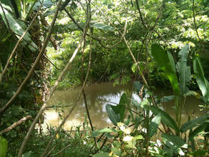 Rio Guacalito