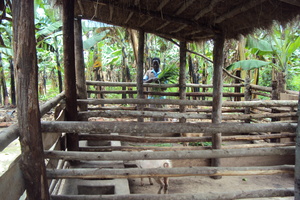 one of the project sites