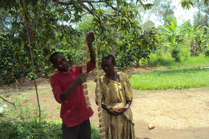 youth making daddies( short cakes)