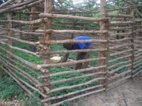 "I love my work"A trainee displaying his nuserybed