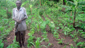 Small Holder Farmer in His Plot