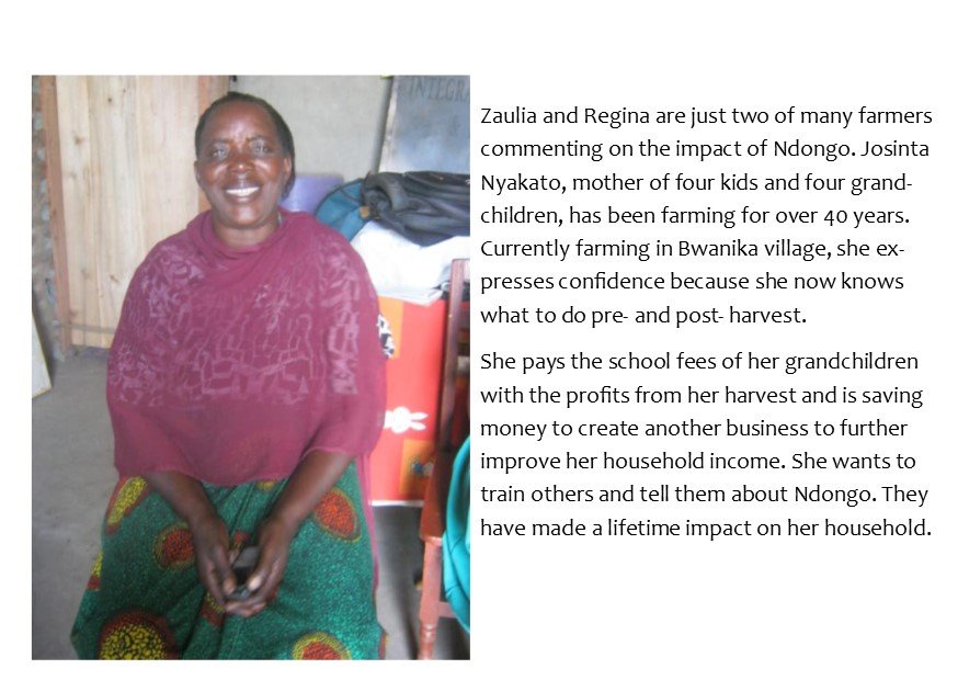 Josinta Nyakato- Ndongo Farmer