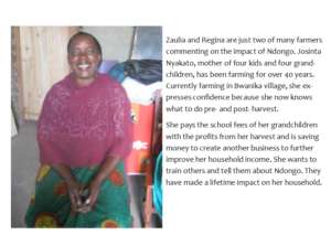 Josinta Nyakato- Ndongo Farmer