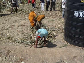 Mann Deshi Farmer on cattle camp