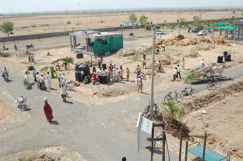 A Hope in Drought : Mann Deshi Cattle Camp
