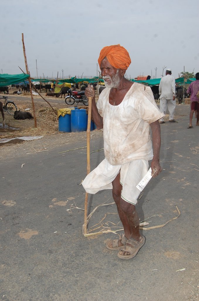 A Hope in Drought : Mann Deshi Cattle Camp