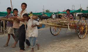 children s at cattle camp