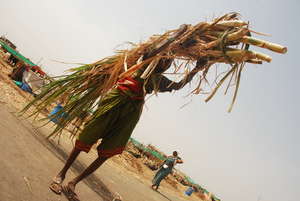 women carrying fodder