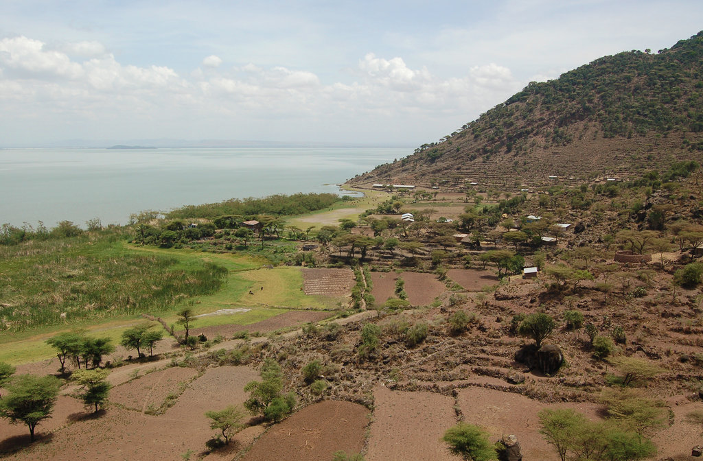 Energy Saving Stoves for Conservation in Ethiopia