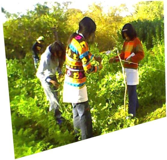 New books and children's library in Chicoana-Salta