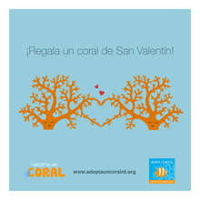 valentine 1