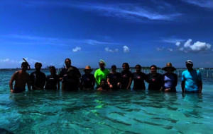EXPEDIA group installing a nursery in Boca Chica