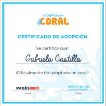 Adoption kit certificate