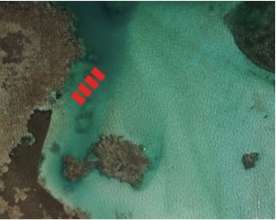 Portillo Residences Coral Nursery Aerial View