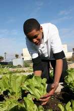 Student at work in the garden
