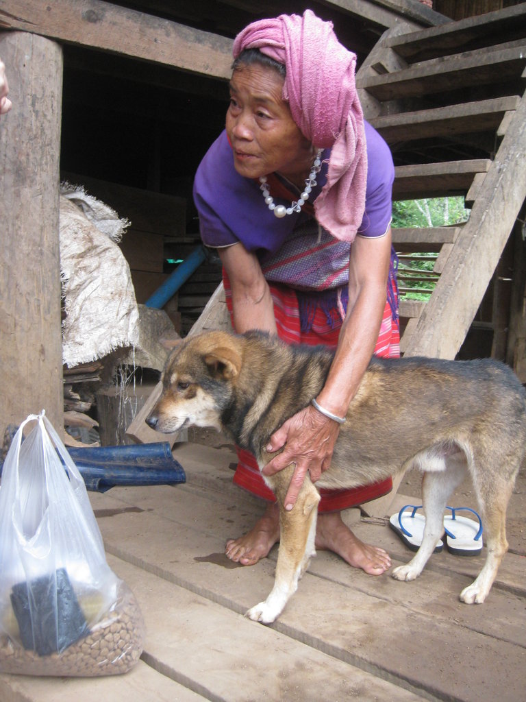Vaccinate and Sterilise Stray Dogs in Thailand