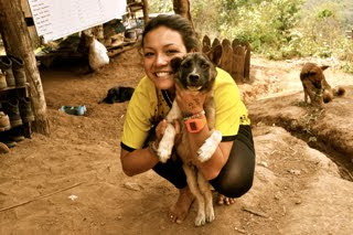 Vaccinate and Sterilise Stray Dogs in Thailand