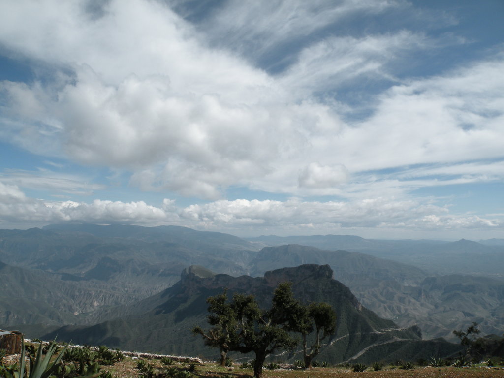 Revitalize Rural Entrepreneurship