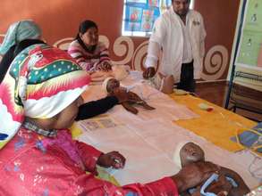 Volunteer/Traditional Midwife Training