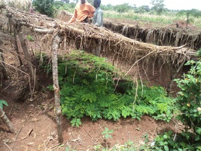Kabugudo Community Nursery, Kidera (Buyende)