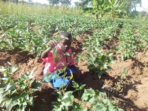 Kid with tree - Kidera