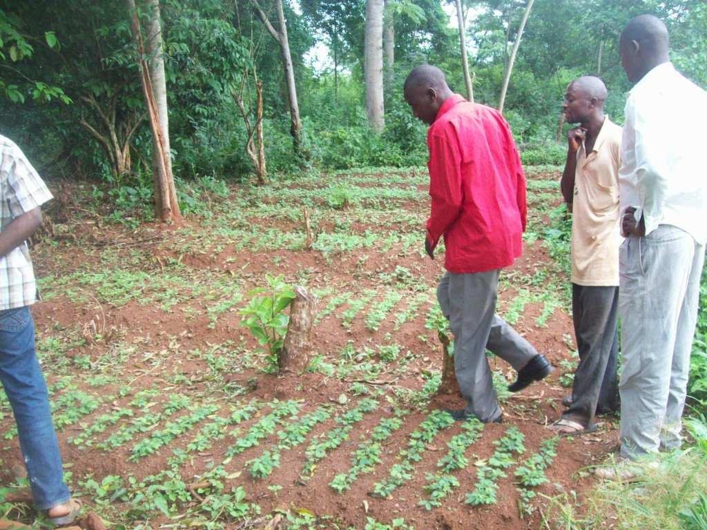 Our team with local farmers at a New Nursery Site
