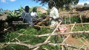 Robert's Tree Nursery in Kidera - 2 years later.