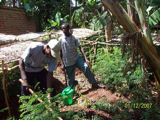 Social Forestry in Uganda: Setting a Precedent