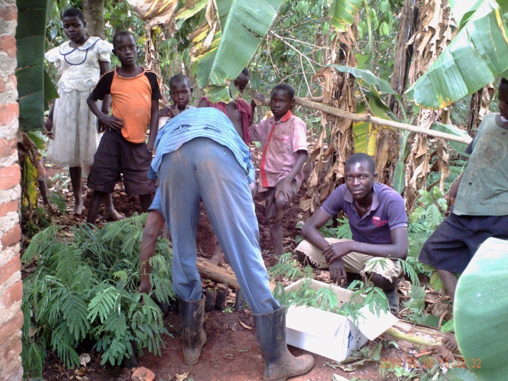 Social Forestry in Uganda: Setting a Precedent