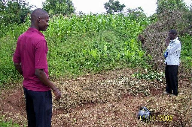 Social Forestry in Uganda: Setting a Precedent