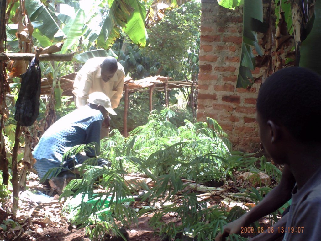 Social Forestry in Uganda: Setting a Precedent