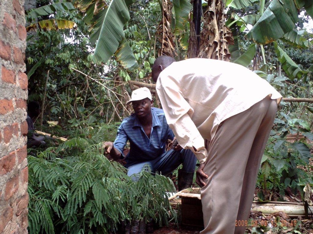 Social Forestry in Uganda: Setting a Precedent