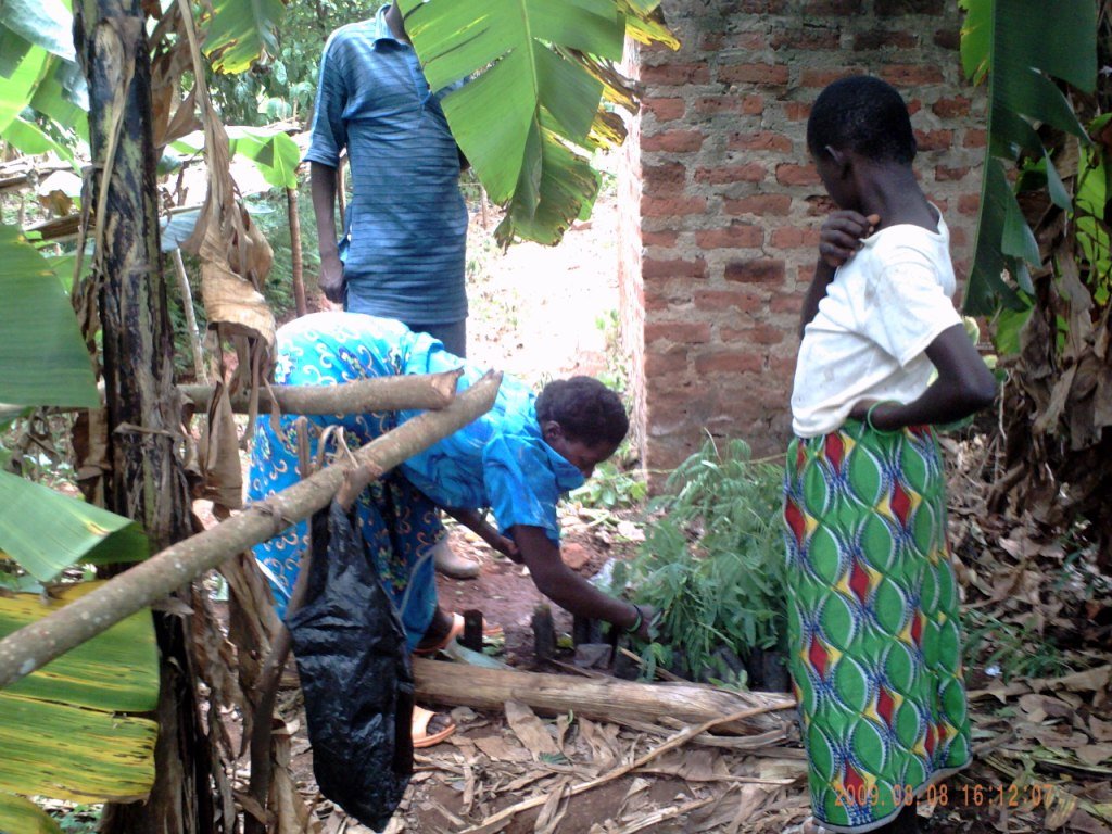 Social Forestry in Uganda: Setting a Precedent