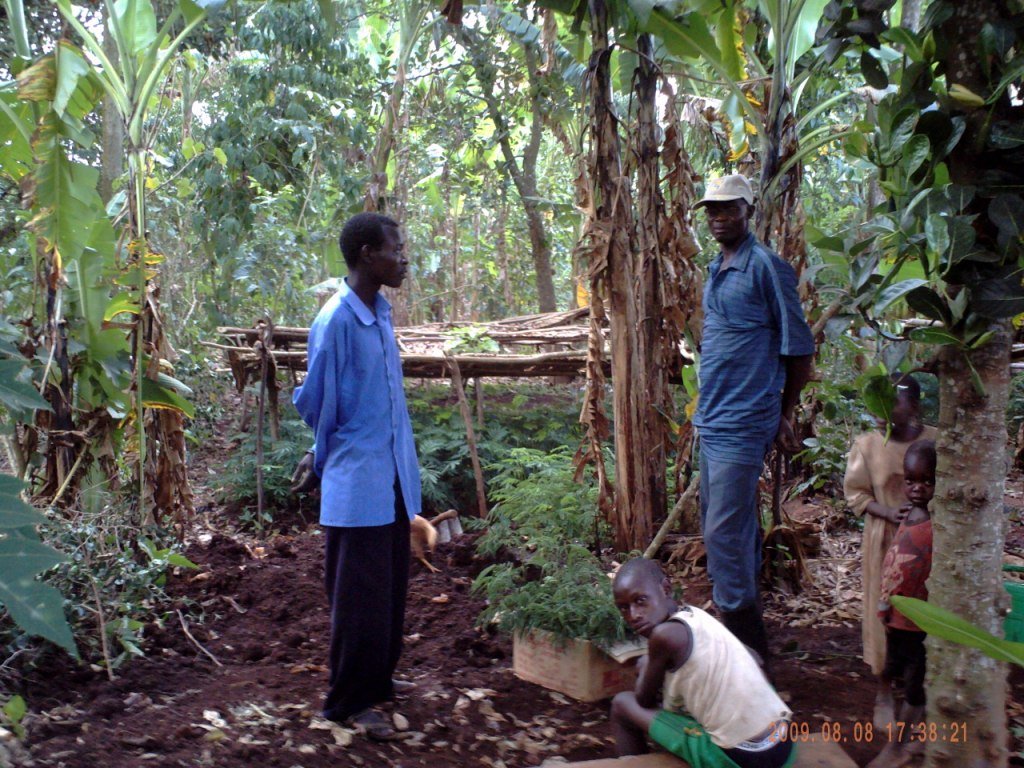 Social Forestry in Uganda: Setting a Precedent