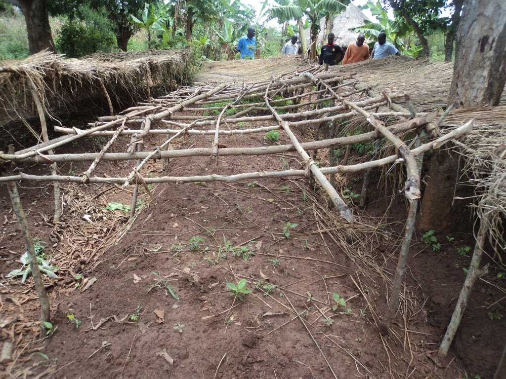 Social Forestry in Uganda: Setting a Precedent