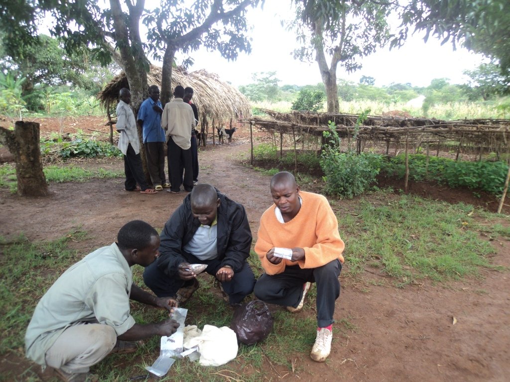 Social Forestry in Uganda: Setting a Precedent