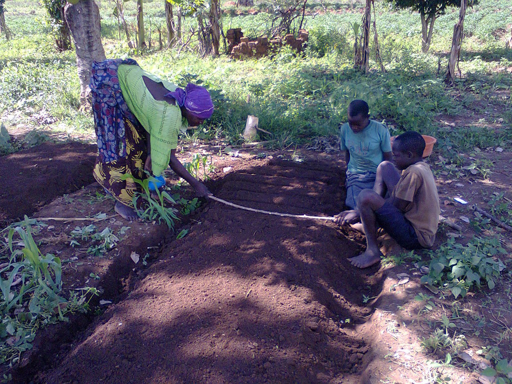 Social Forestry in Uganda: Setting a Precedent