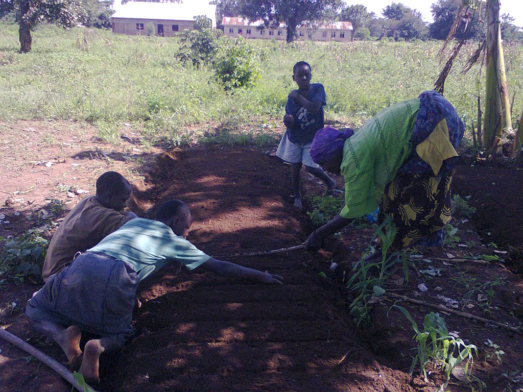 Social Forestry in Uganda: Setting a Precedent