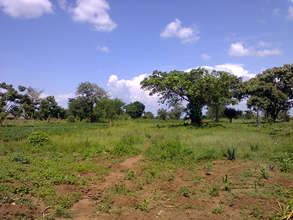 A barren land--to be reforested with hedges