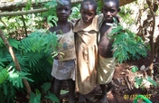 Social Forestry in Uganda: Setting a Precedent