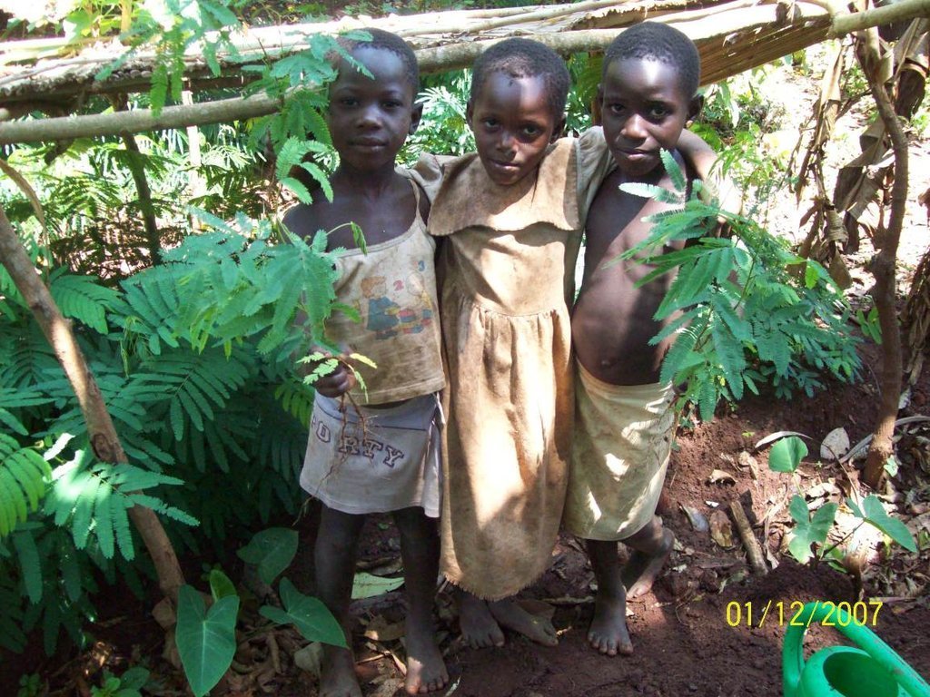 Social Forestry in Uganda: Setting a Precedent