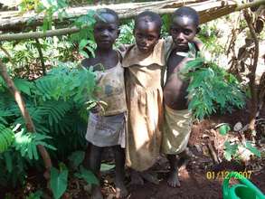 Social Forestry in Uganda: Setting a Precedent